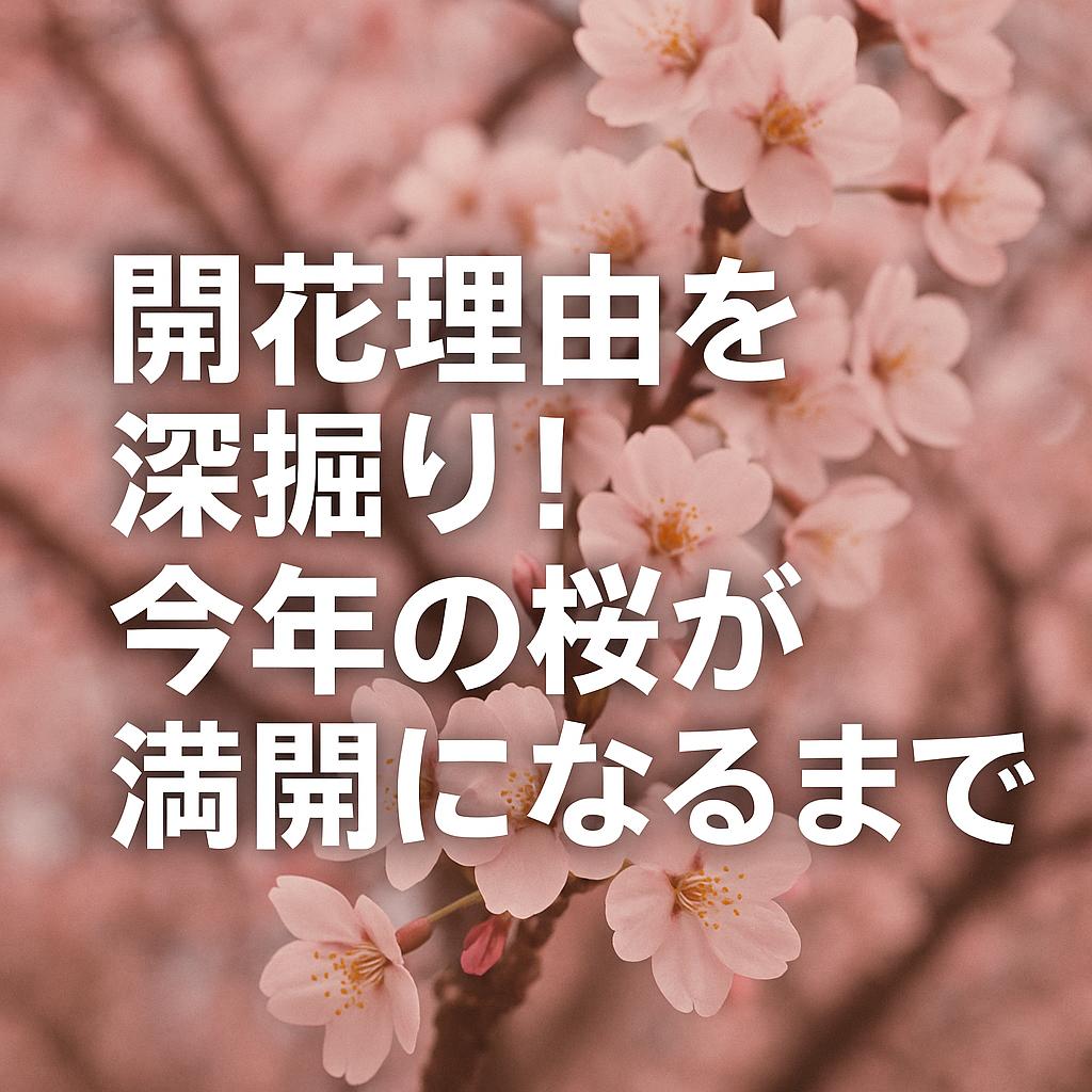 開花理由を深掘り！今年の桜が満開になるまで